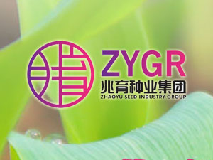 【簽約】河北兆育種業集團有限公司，簽署網站改版升級合同